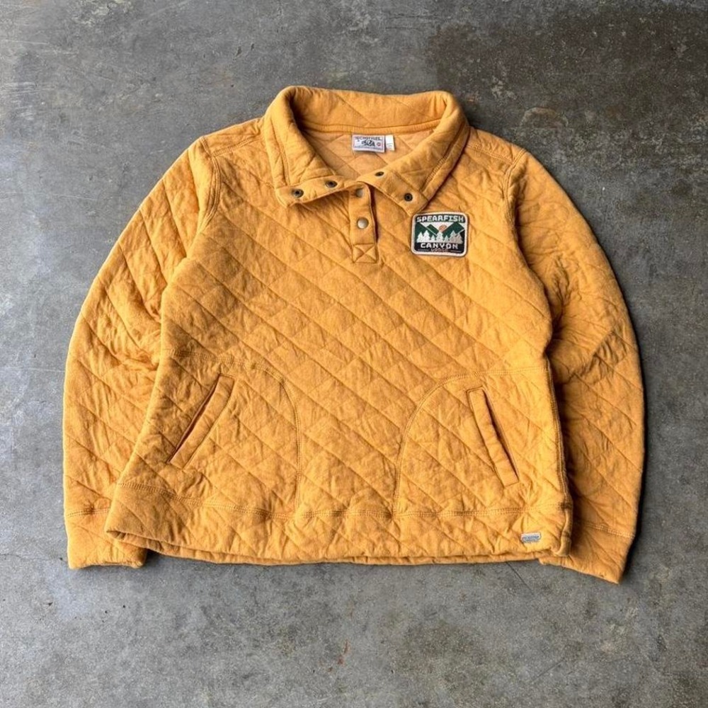 2000s synchilla hiking pullover